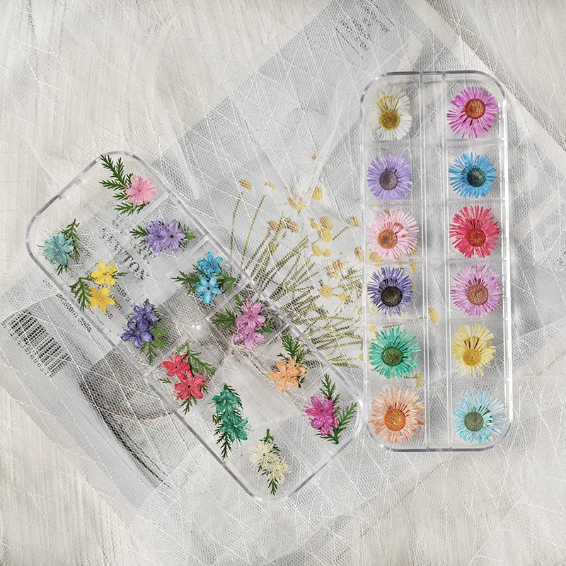 

Trendy Internet-Famous Twelve-Compartment Mixed Nail Art Embossed Decorations, Dried Flowers, Mini Flower Nail Creative Accessories, Resin