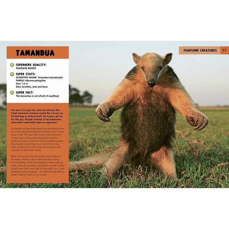 الأبطال الخارقين للطبيعة مهارات لا تصدق للبقاء والزهور جورج فيترمان كيد للنشر 9780711279995 كتاب #3