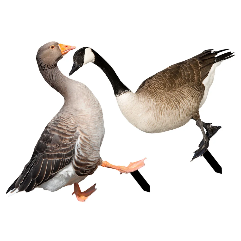 

2Pcs Outdoor Duck Stake Acrylic Garden Ornament for Yard Lawn Patio Courtyard Decor Garden Decoration Art