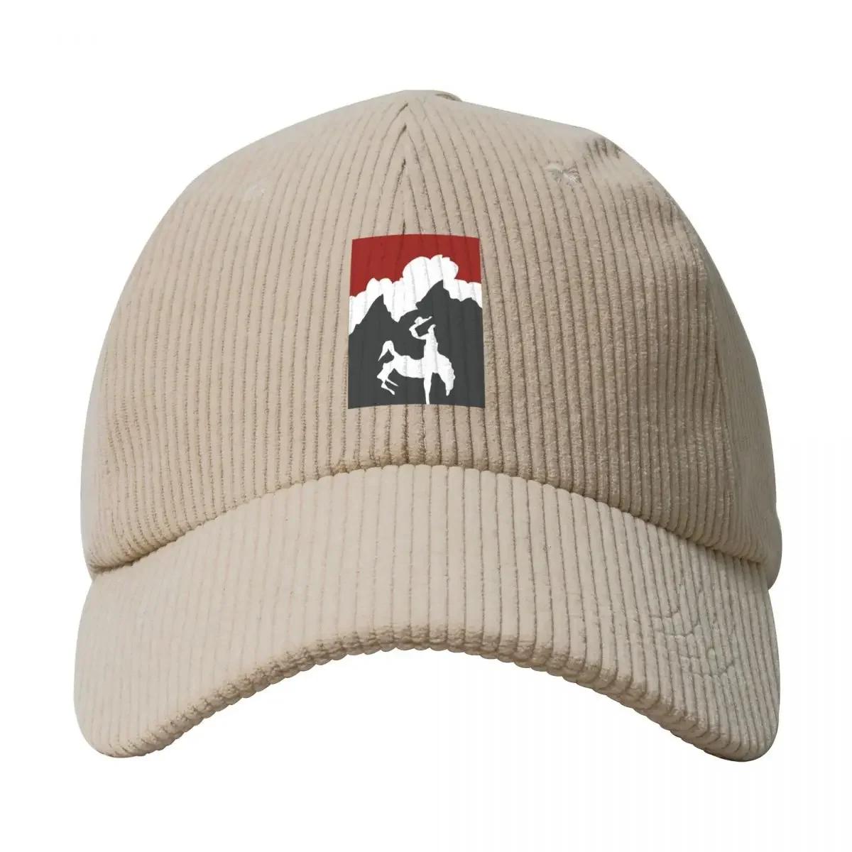 JACKSON HOLE MOUNTAIN RESORT MINIMALIST Corduroy Baseball Cap Fluffy Hat black Mens Tennis Women's