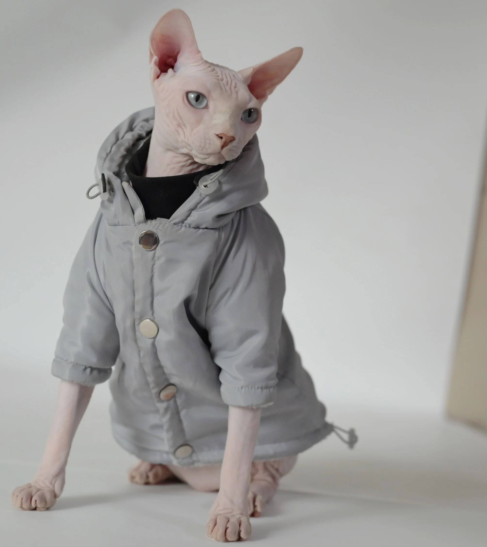 

Winter Warmth, Windproof and Snowproof Cat Jacket for Hairless Cats, Double-layer Plush Coats for Sphynx, Devon Rex