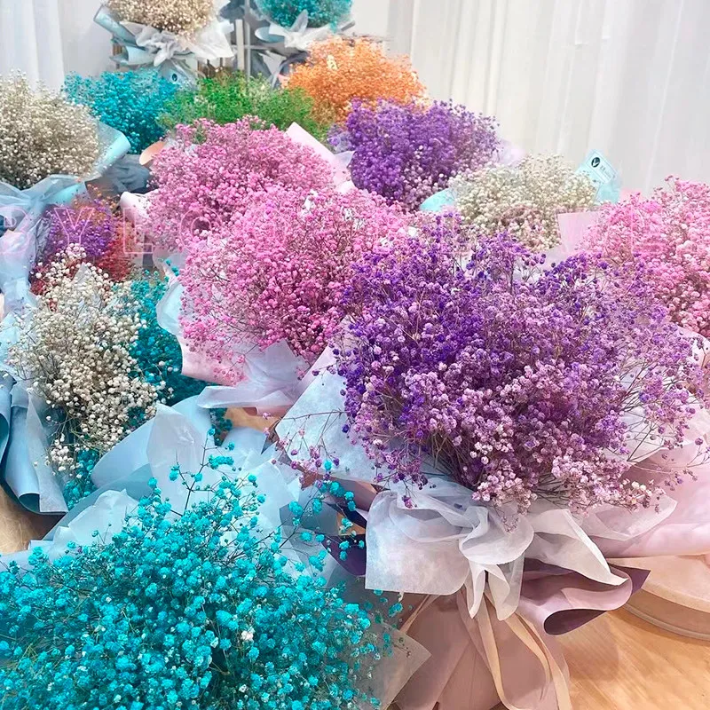 #12 Trending Dried Flowers Right Now
