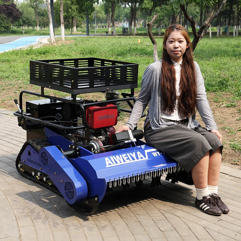 

Customized High-power track lawn cutter with reinforced storage rack,weed farmland,barren hill flail mower ce epa lawn mowers