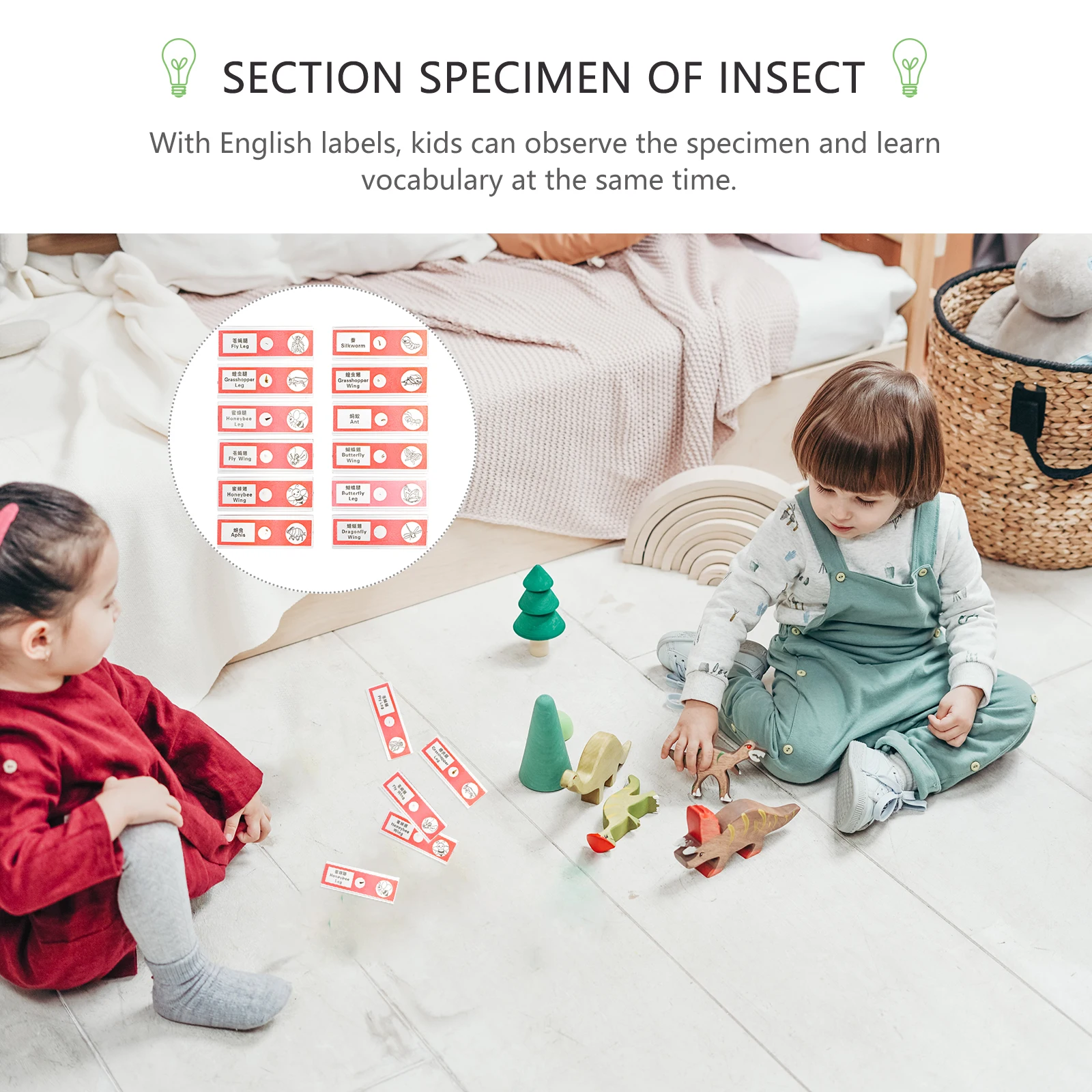 

Microscope Accessories Red Plastic Slide Specimens Insect Set Safe Kids Science Education Slides Observing Samples
