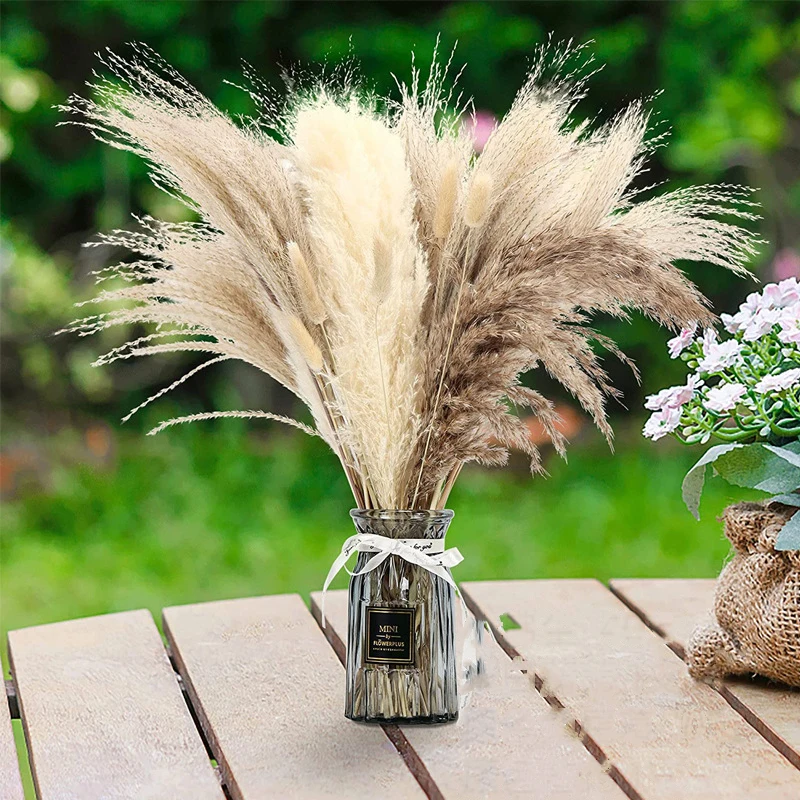 Luxury Rabbit Tail Pampas Grass Reed Gold Orbs Natural Dried Flowers Bouquet For Home Wedding Decoration Valentines Day Gift image 2