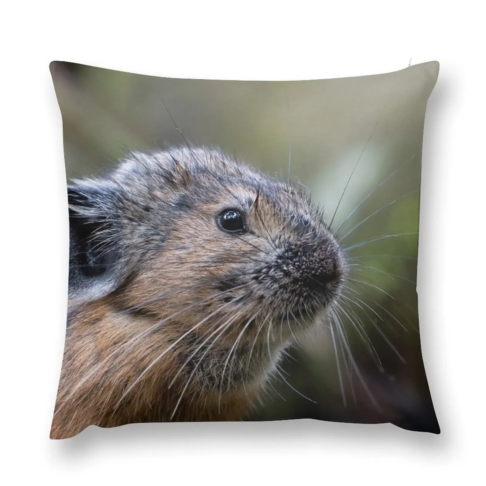 

American Pika Throw Pillow Decorative Cushion Cover Anime pillow