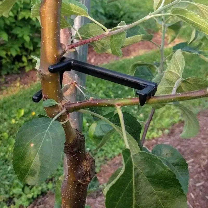 

Fruit Tree Branch Plant Vines Support Clips Twisting Shapers Twist Styling Bonsai Curved Elbow Garden Too Hand tools