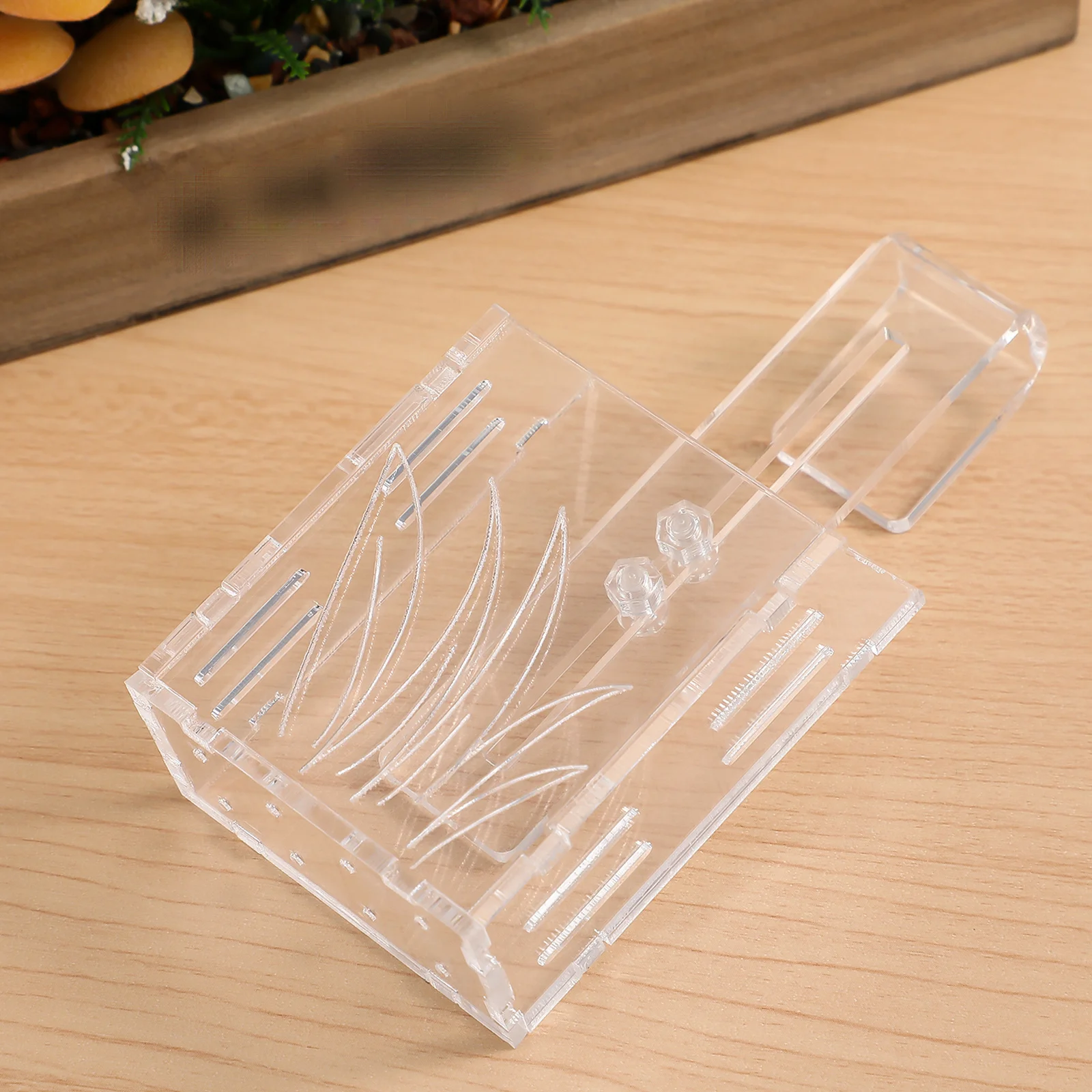 

Transparent Acrylic Aquarium Plant Holder Hanging Hook Oblique Opening Water Plant Container Fish Tank Decoration