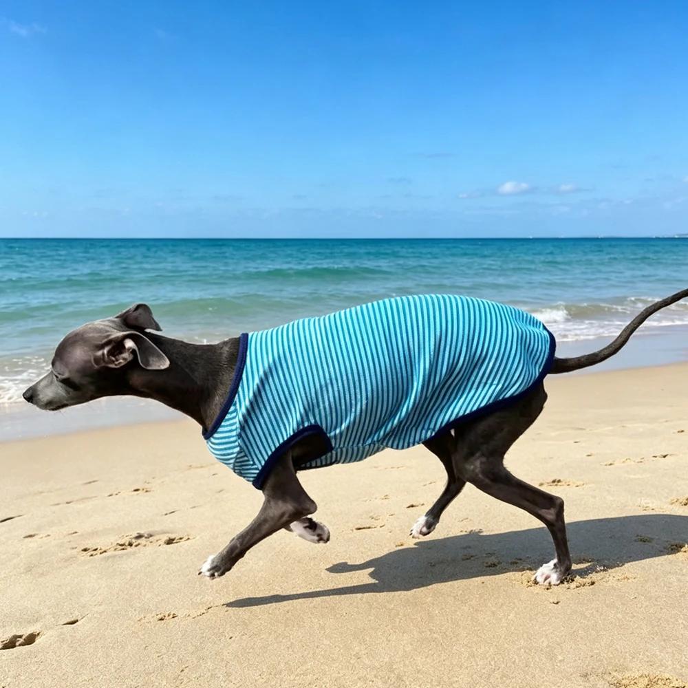 Chaleco sin mangas rayas azules para galgo italiano, whippet y perros - imagen 5