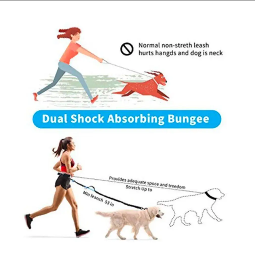Set Training Waist Bag Water Cup Bags Bowls Storage Running Jogging Dogs Harness Leash Pet Collar Traction Belt Rope