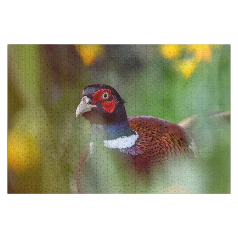 

Pheasant, Scottish Borders Jigsaw Puzzle Christmas Toys Children Puzzle