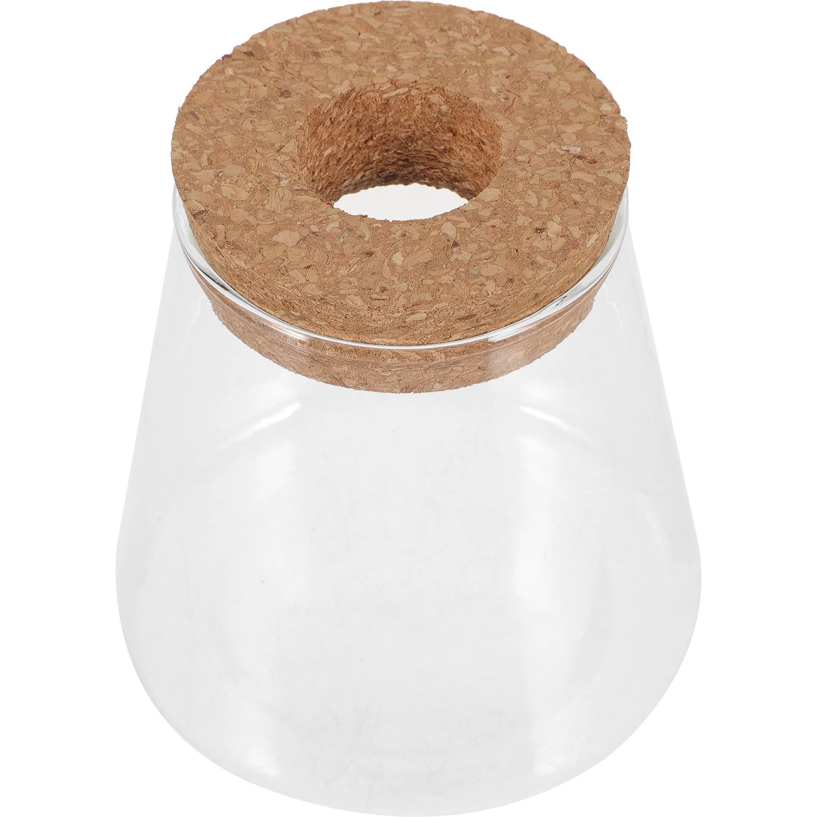 

Glass Fish Bowl Transparent Micro Landscape Terrarium Creative Home Office Desk Decoration Small Hydroponic Plant Container