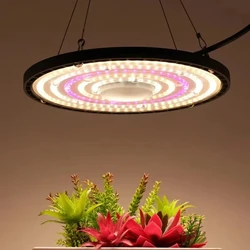 100W 150W 200W Full Spectrum Plant Grow Lights UFO LED Lamp Sunlight High PPFD Quantum For Indoor Greenhous Tent Growth Lighting
