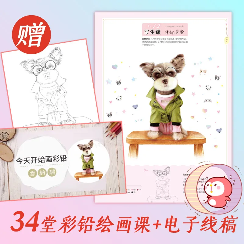 Matita colorata dipinta a mano Primer di base Book Figure Animal Landscape Theme Sketch Line Drawing Books