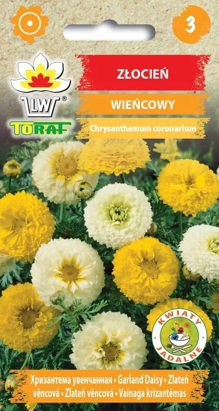 Coronary Pyrethrum Bloemzaden-681 Toraf