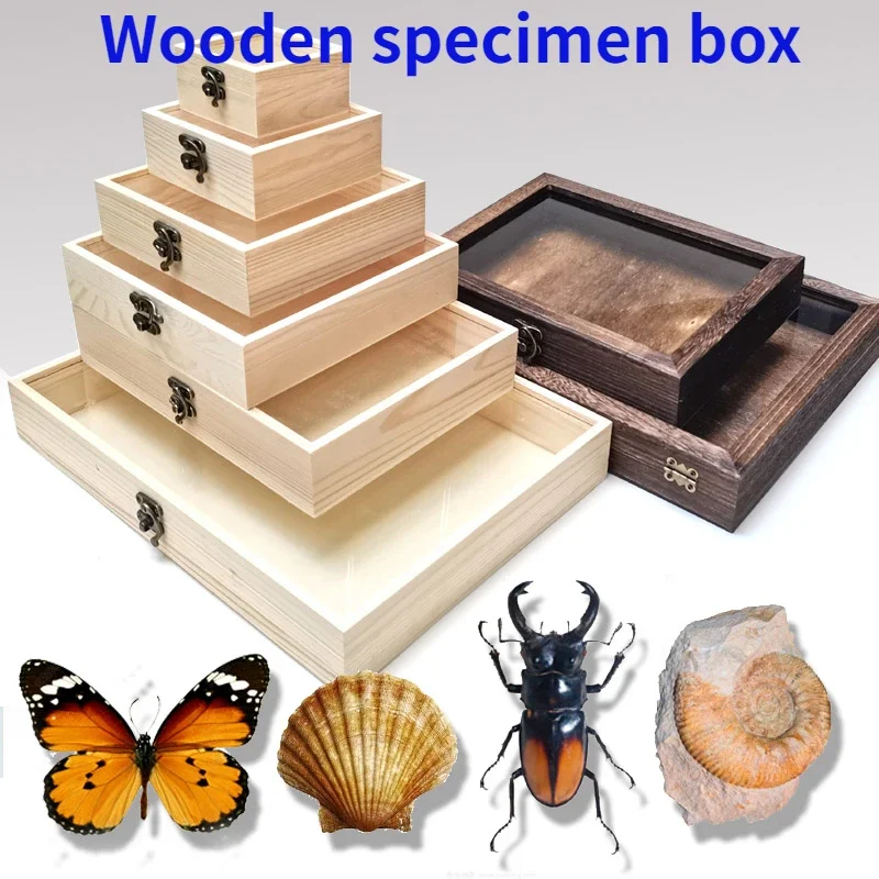 Solid Wood Butterfly Specimen Storage Display Box Insects Plants Fossils Shells Storage Collection Box Home Decoration