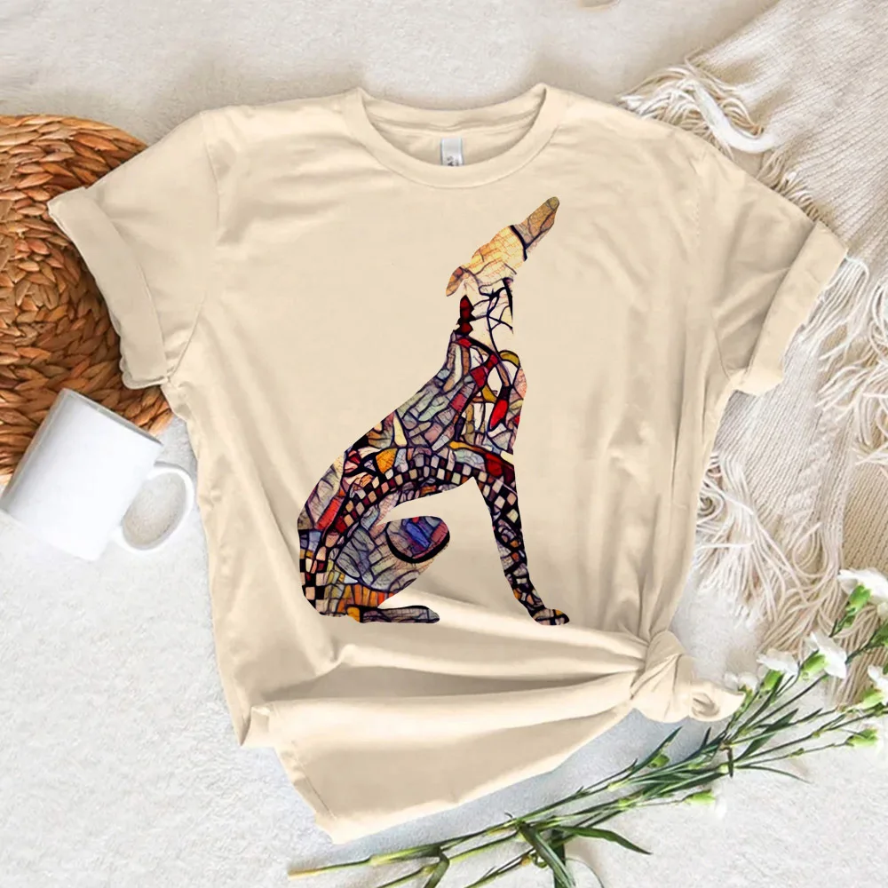 Greyhound t-shirts women graphic tshirt girl Japanese streetwear funny clothing