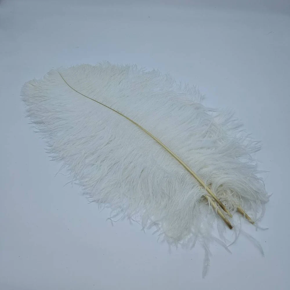 10Pcs/Lot Natural Ostrich Feathers for Crafts Wedding Decor Handicraft Accessories Table Centerpieces Carnival Plumas Christmas