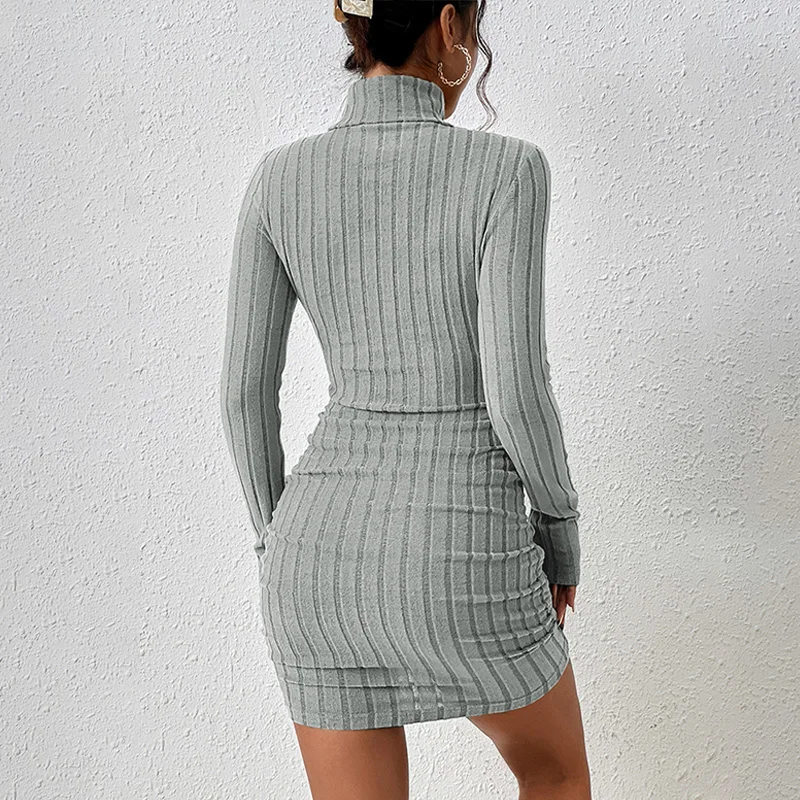 Autumn Winter Sexy Dresses Women New Fashion Long Sleeves Turtleneck Streetwear Sexy Mini Dress Casual Slim Elegant Lady Dresses