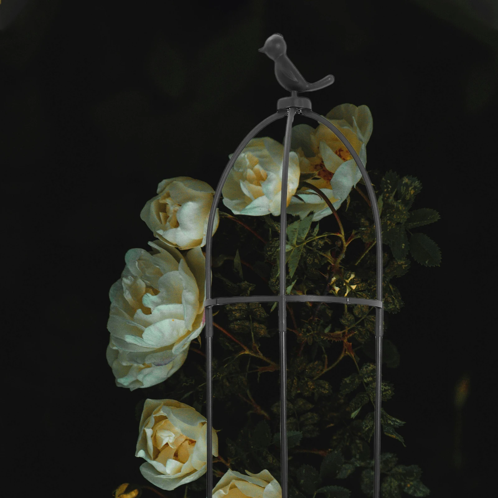 

Climb Flower Stand Plants Climbing Rose Trellis Folding Supporting Garden Arrangement