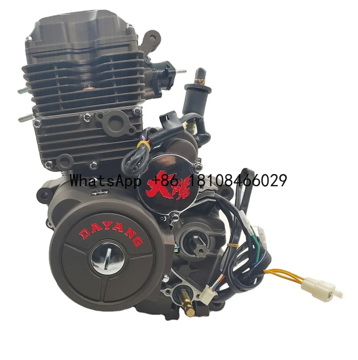 

CG Cool 250cc DAYANG LIFAN Motorcycle Engine Assembly Single Cylinder Four Stroke Style China Origin Quality CCC