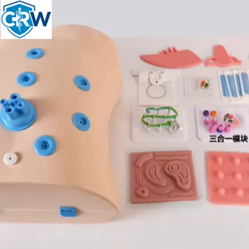 CRW Bestselling Training Model Bionic Single-port Box + 14 Modules