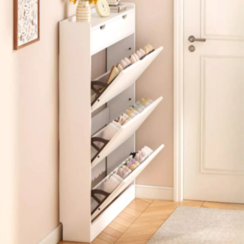 Organizer Men Shoe Racks Organizer Shelf Cabinets Shelves Shoe Racks Mobile Ultra Thin Rangement Chaussure Home Furniture image 5