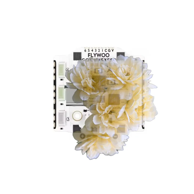 

Flywoo GOKU HEX GN405 Nano HD 20A Stack V3 - with TXCO ELRS 2.4g, Plug&Play for DJI O4/O4 Pro