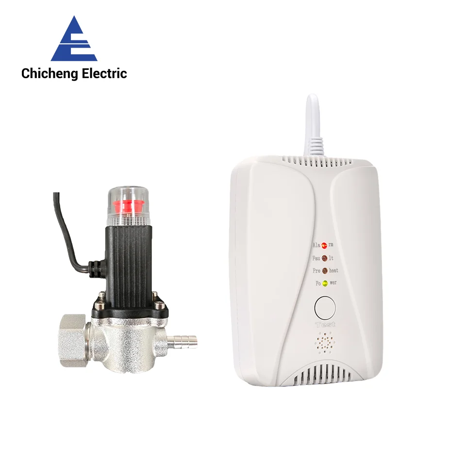 

HD2000 Home Gas Detectors Natural Gas Detector Carbon Monoxide Detector With Gas Valve For Kitchen Propane Gas Bottle CH4 LPG CO