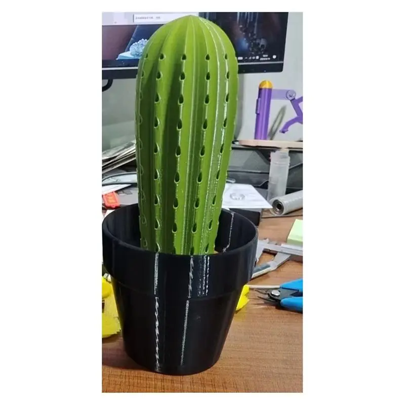 A74E-Plant Decoration Crafts Home Decoration Garden 3D Printed Cactus Simulation Pot Toothpick Box Table Decoration view 6