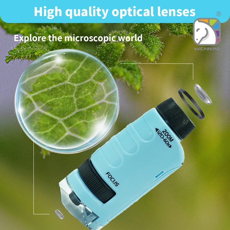 Portable 60x - 120x Handheld M - Microscope Kids Science 评论和价格