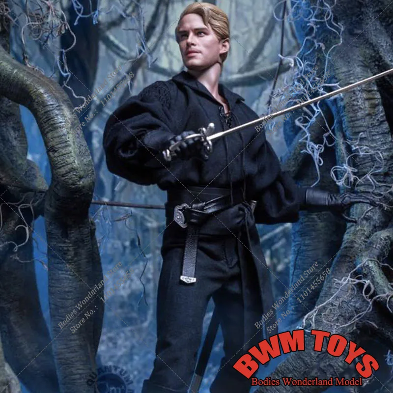 

In Stock 1/6 Scale Collectible The Dread Pirate Roberts 12Inch Male Solider Action Figure Model Toys Full Set Doll for Fans Gift