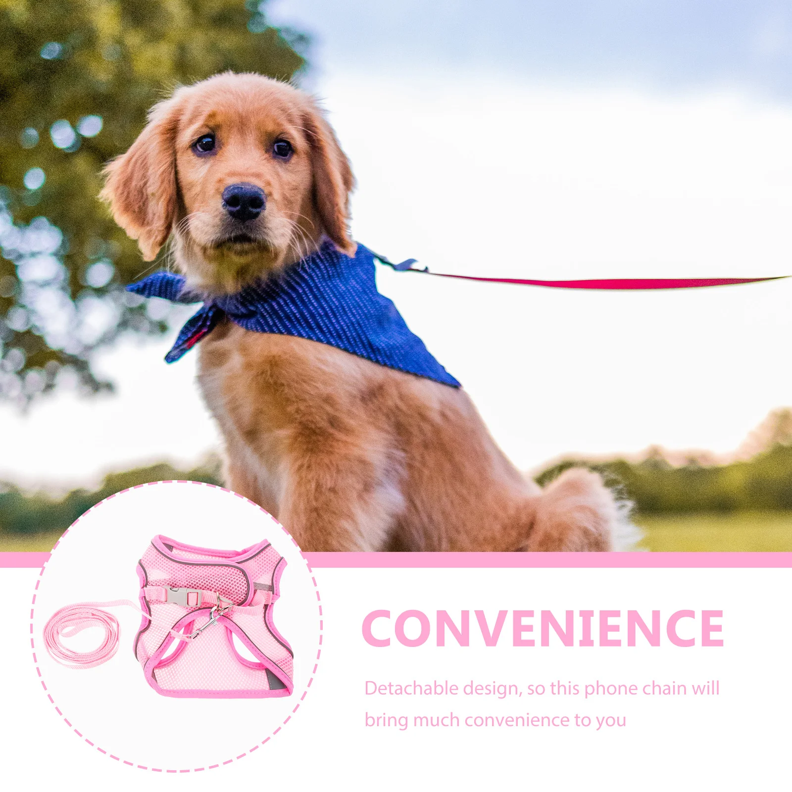 

Breathable Pet Reflective Dog With Leash Adjustable Safe Walking Gear