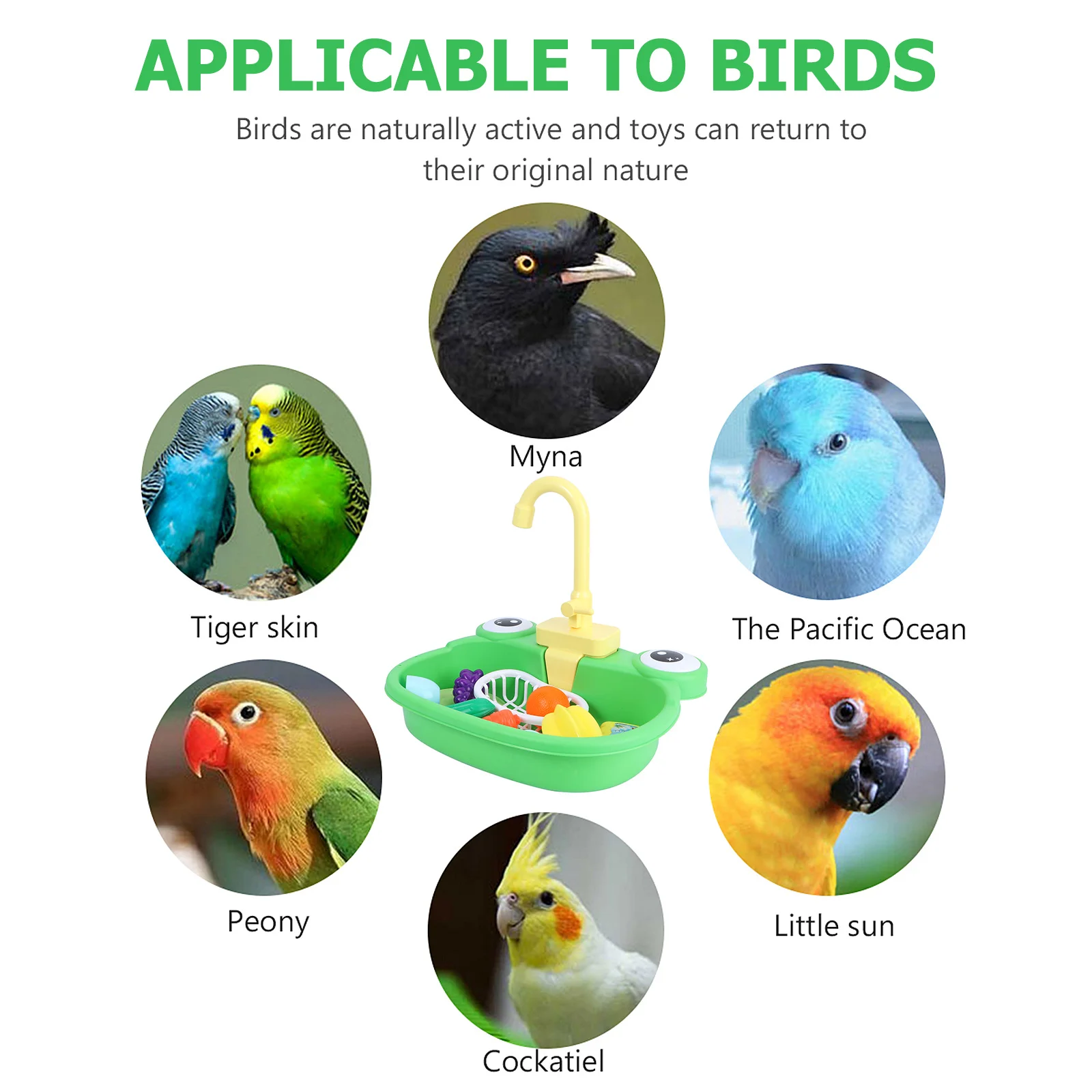 

Parrot Bath Tub Bird Bathing Supplies Durable Craft Design Portable Safe Small Pets Parrot Bathtub Bird Bathing Tub