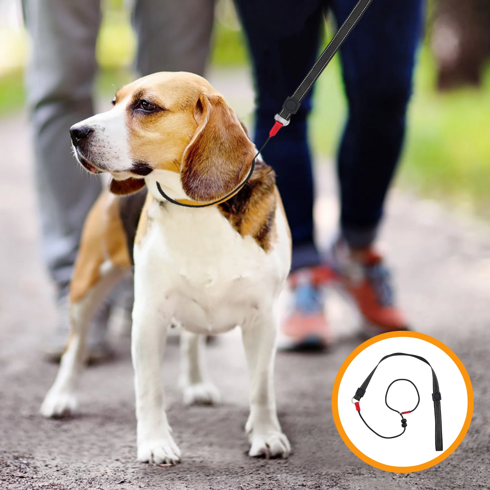 

Anti Pull Dog Leash Chewproof Slip Lead For Puppy Training Comfortable Walking Hiking Fetch Traction Rope Pet Nylon Long Leash