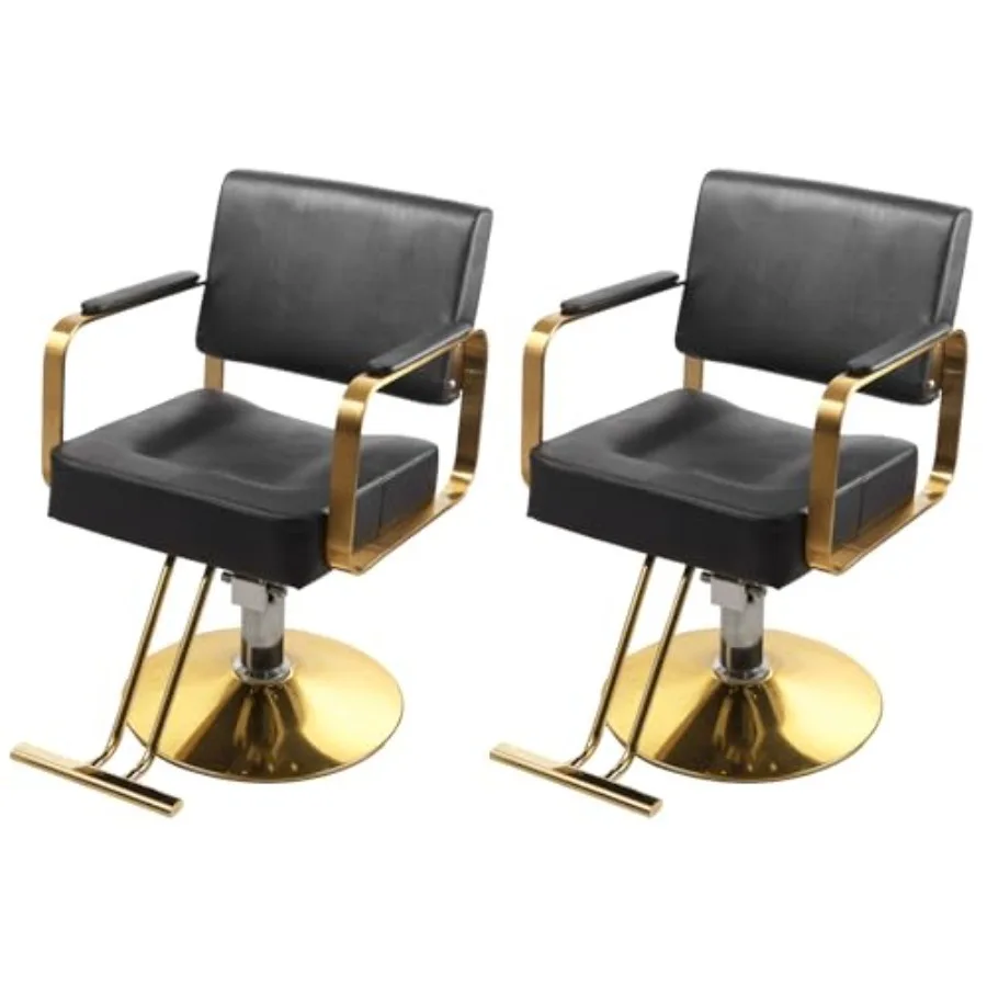 

Black and Gold Salon Barber Chair Set of 2 for Hair Stylist with Hydraulic Pump Beauty Styling Chair for Home Barbershop Swivel