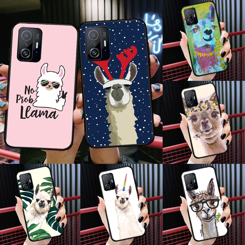 Animal Lama Llama A…