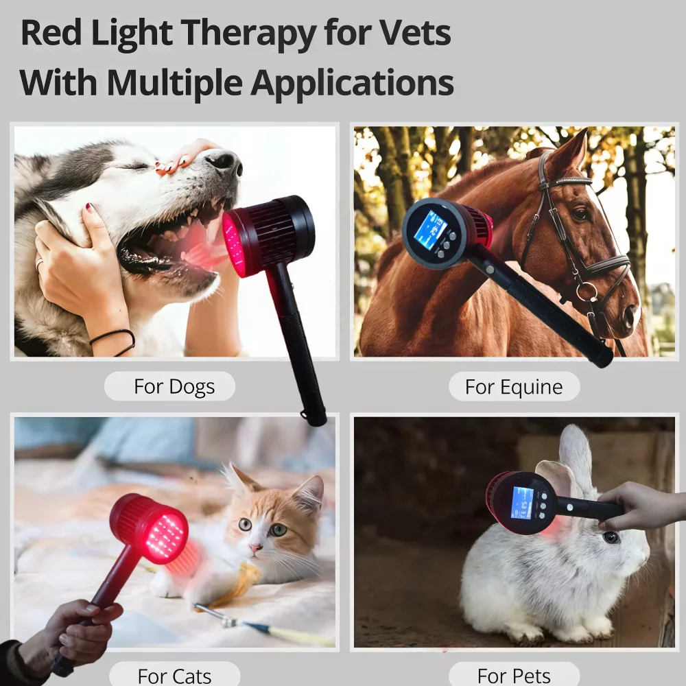 

Class IV Professional Veterinary Laser Therapy Equipment 808nm 5W High Power for Cats Dogs Horses Rehabilitation