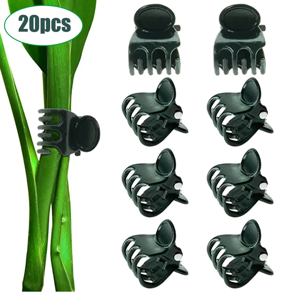 20Pcs Phalaenopsis Orchid Gardening Vine Fixing Clip Plastic Grafting Flower Garden Plant Clips For Securing Stem Pole Sticks