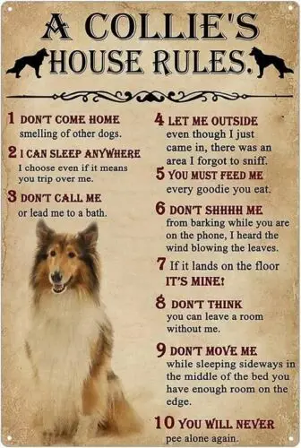 A Collies House Rules Aluminum Weatherproof Funny Sign p1238-Aluminum
