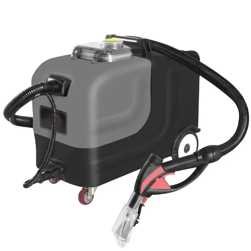 220V Three-in-One Spray Cleaning Machine 3000W 5Bar Steam Car Wash Machine New Condition Carpet Sofa Steam Cleaning for Cars