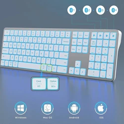 Clavier Bluetooth aste sans fil RVB, pleine taille, multi-usages, rétroéclairage, clavier de jeu pour tablette, PC