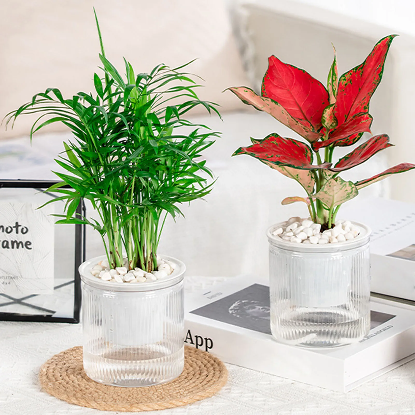 Elegant Self Watering Planter Translucent Stylish Water-saving Desktop Planter Living Room Bedroom Planter Home Planting Pot