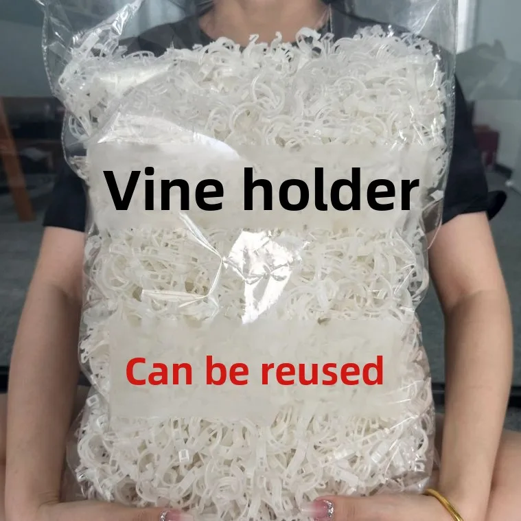 

fruit tree plant fixing clip buckle vine seedling climbing vine support rod fruit and vegetable seedling hanging seedling clip