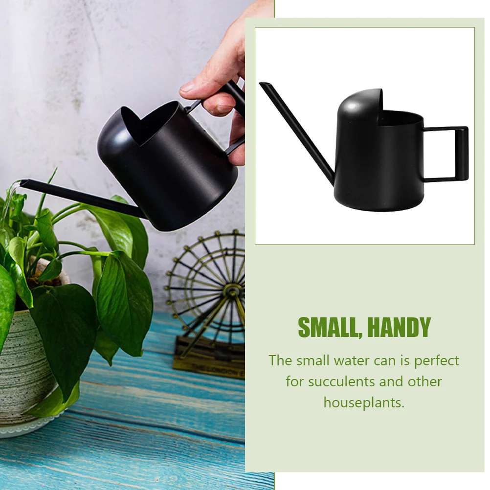 

Stainless Steel Watering Can Long Spout Bonsai Succulent Household Garden Plants Tool Gardening Supplies