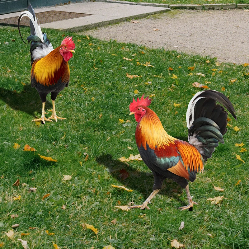 Creative New Simulated 3D Rooster Yard Decor Rooster Model Sculpture Animal Farm Garden Lawn Yard Artwork Decor