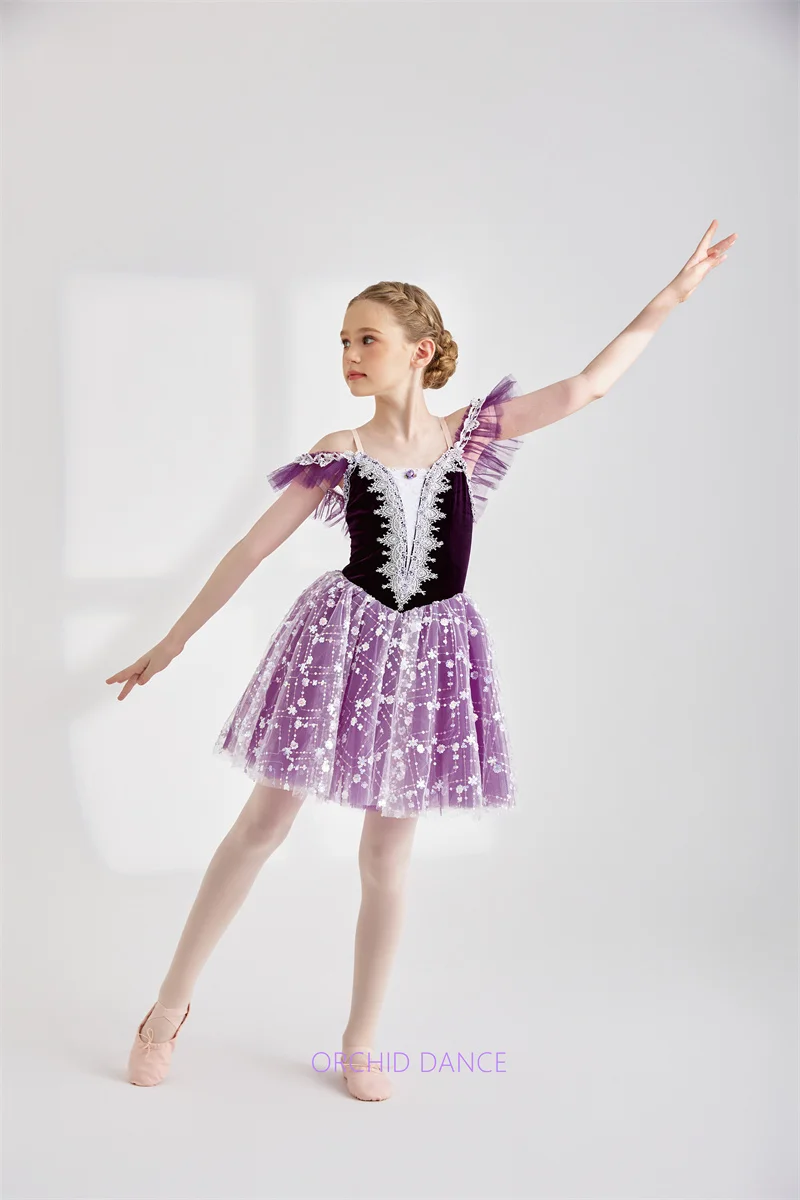 BT01319 Professional Prom Variation Performance Wear Private Custom Girls Graduation Ball Purple Long Ballet Dress