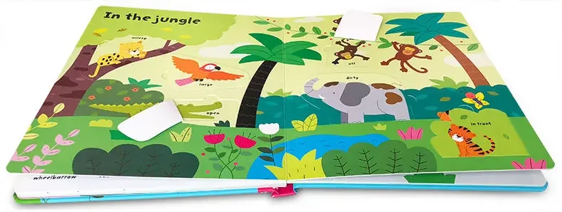 Usborne Lift-the-flap Opposites, Children's books aged 3 4 5 6, English picture book, 9781409582588