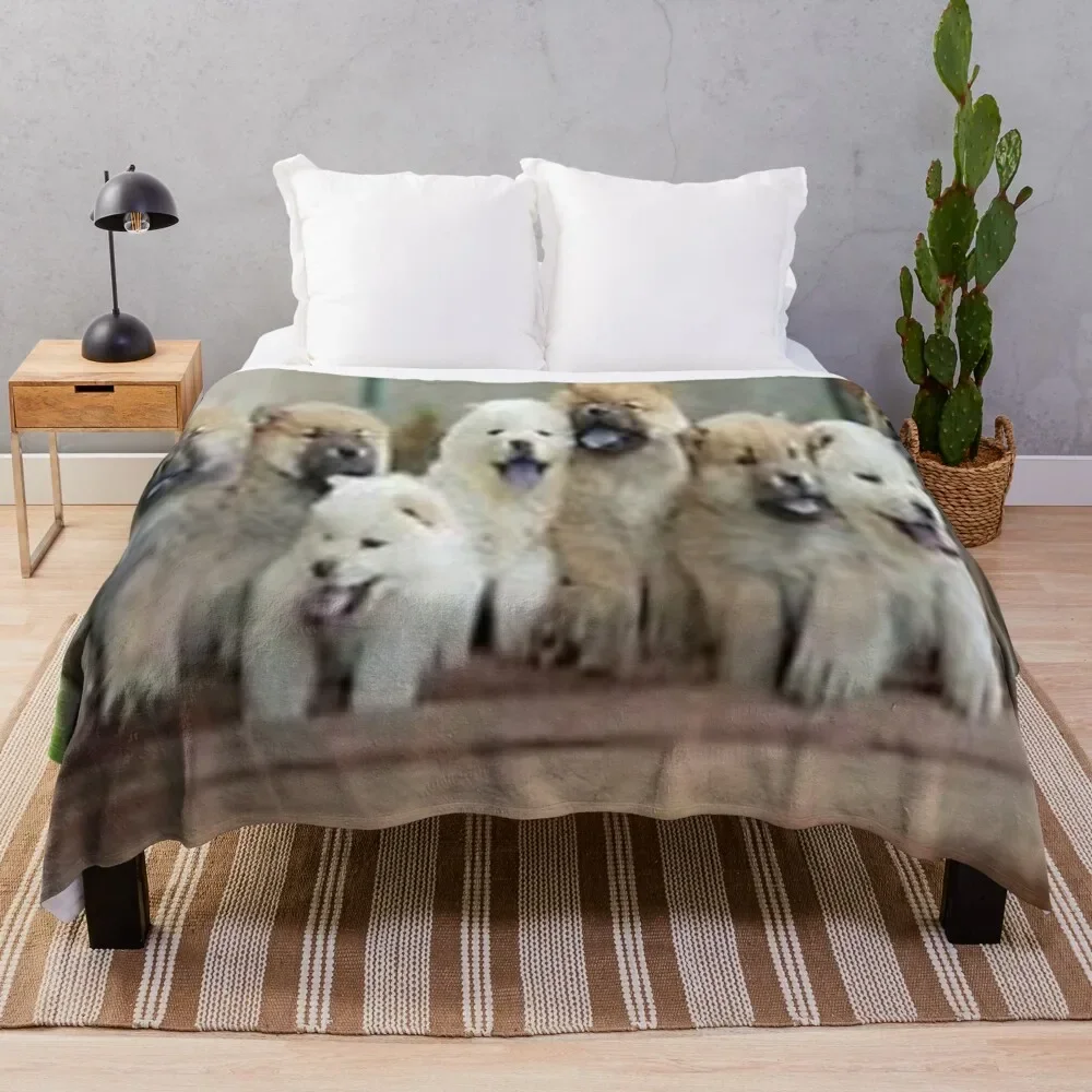 

chow chow puppies Throw Blanket Blankets For Bed Sleeping Bag Blankets