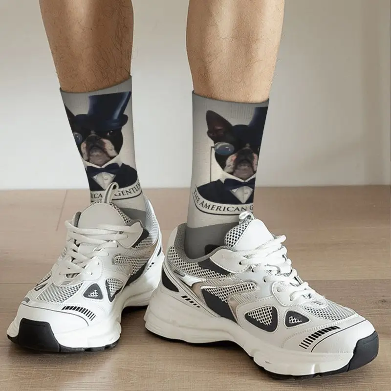 Bonito dos homens boston terrier cão vestido meias unisex breatbale quente impressão 3d dos desenhos animados o cavalheiro americano tripulação meias